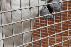 20190515_100907